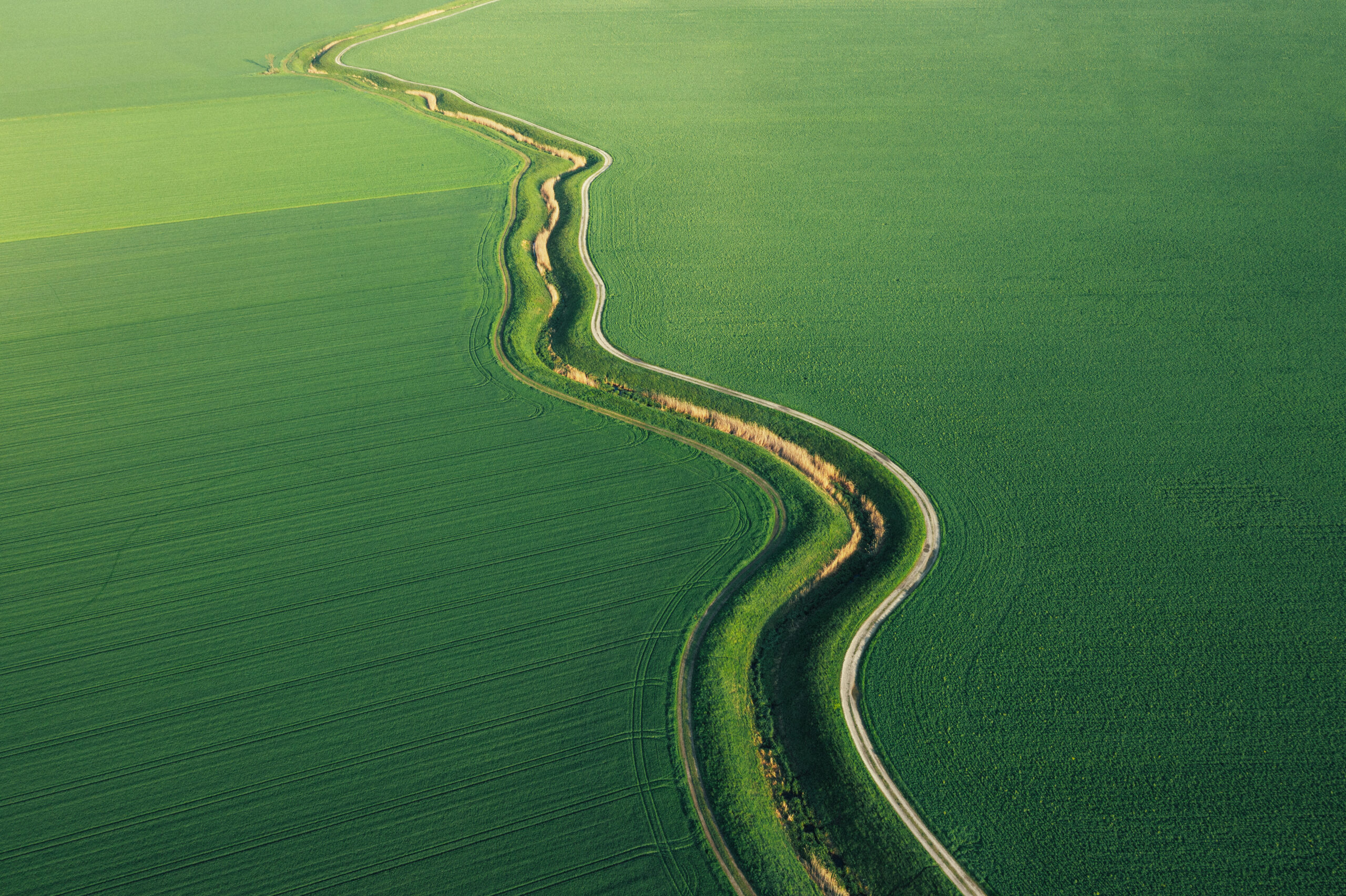 five ways to decarbonisation